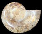 Sliced, Agatized Ammonite Fossil (Half) - Jurassic #54038-1